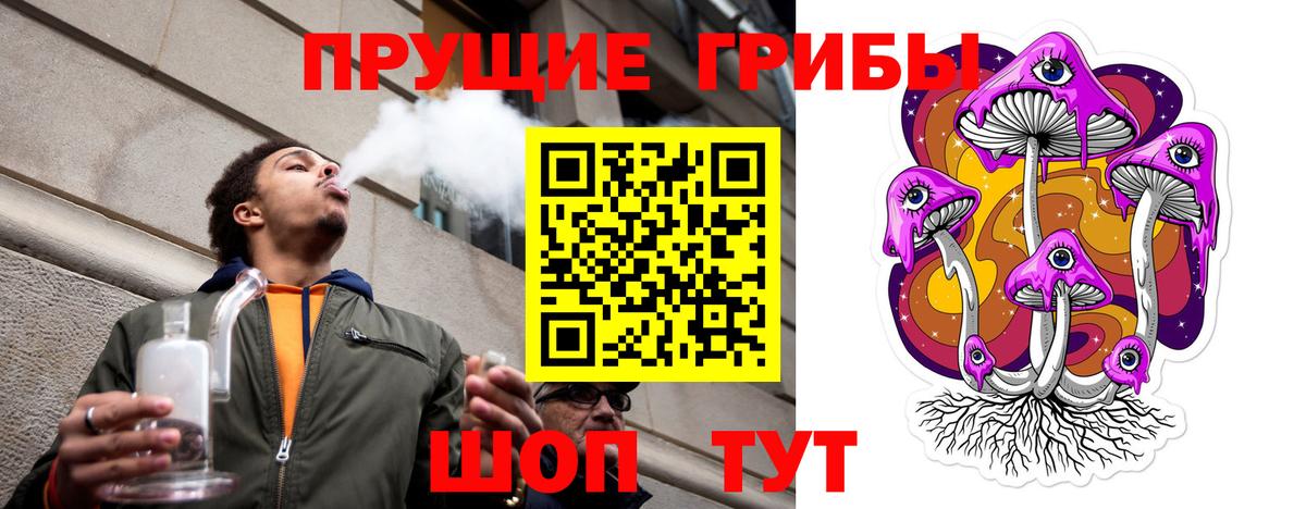 Псилоцибиновые грибы MAGIC MUSHROOMS  Вход с VPN  Юрга 